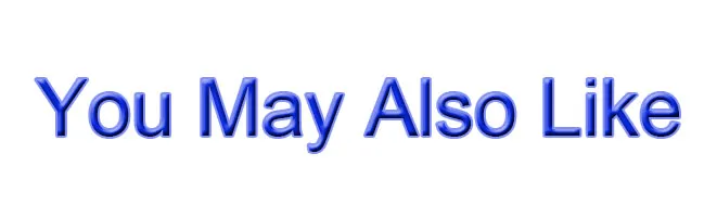 You May Also Like